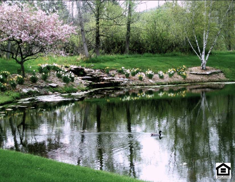 Cascade Ridge Image 2