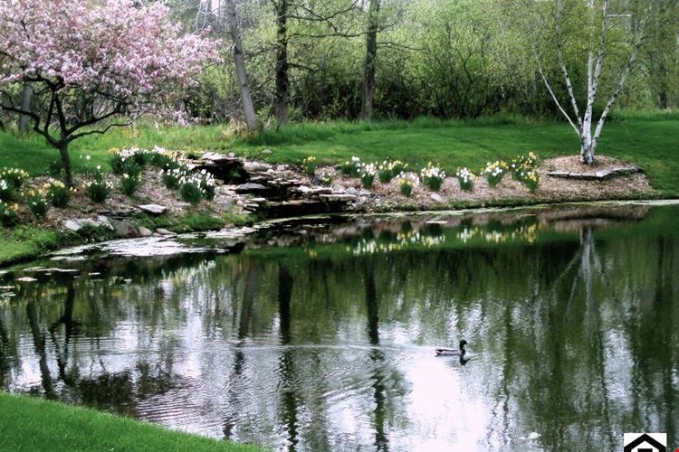 Cascade Ridge Image 2