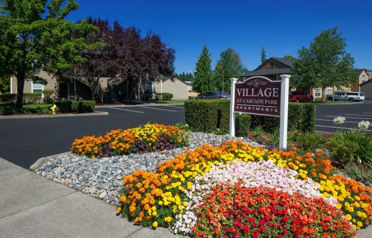 Village at Cascade Park Apartments Image 17