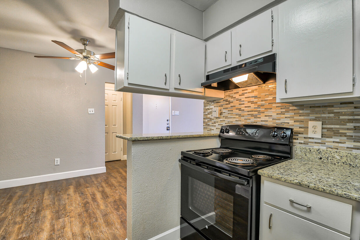 San Mateo Forest Image 7