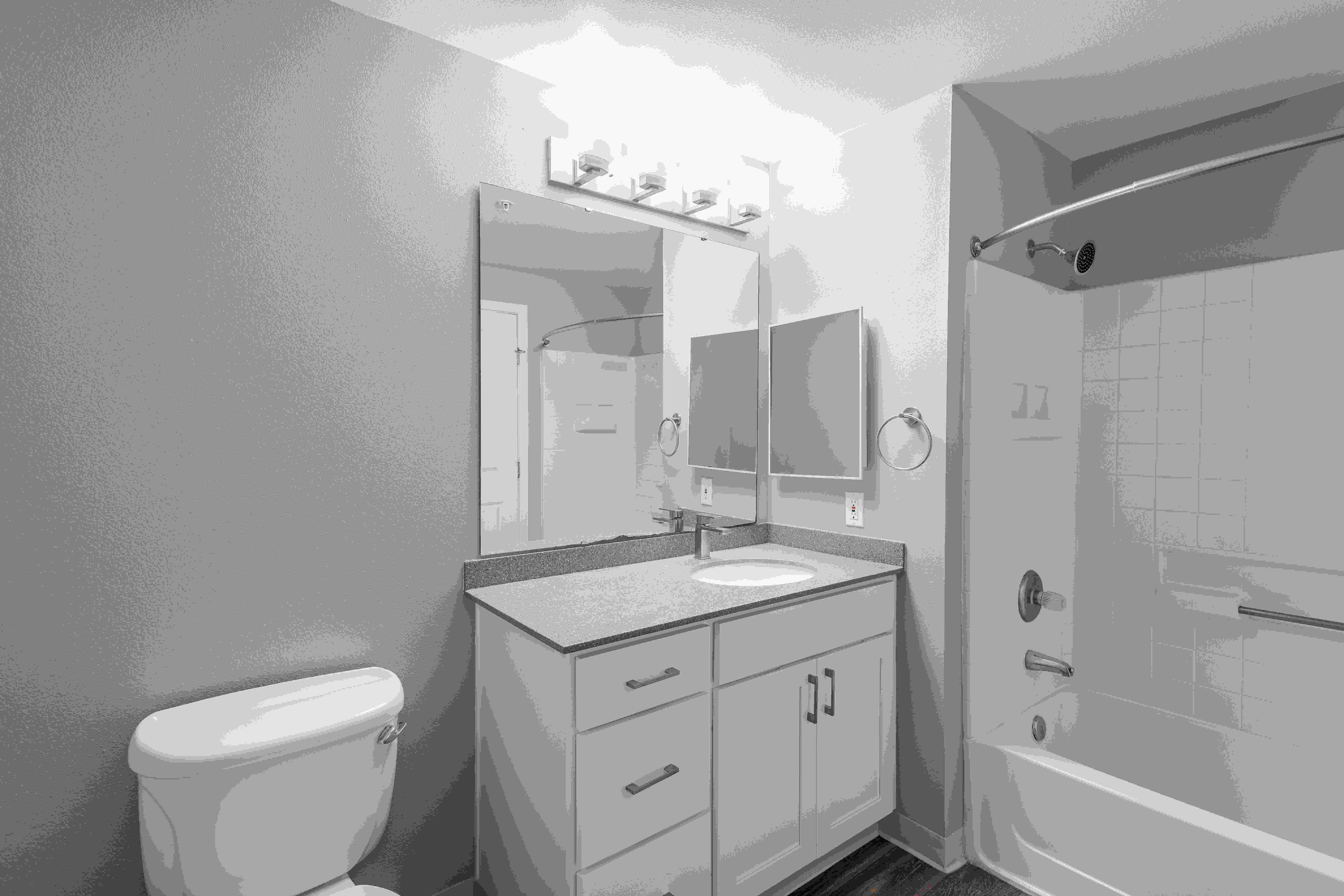 Langara Image 14