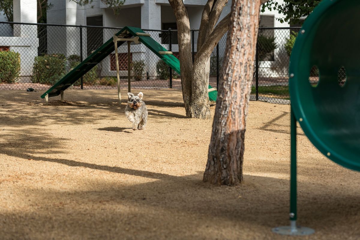 San Antigua In Mccormick Ranch Image 27