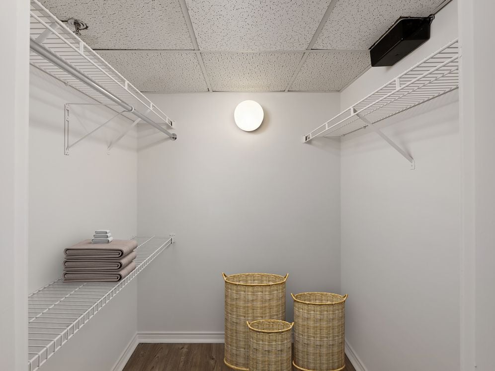 Renovated Package I walk-in closet