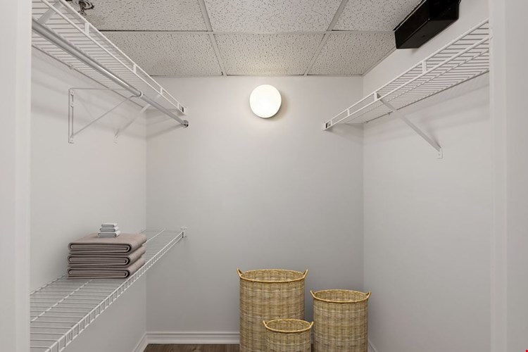 Renovated Package I walk-in closet