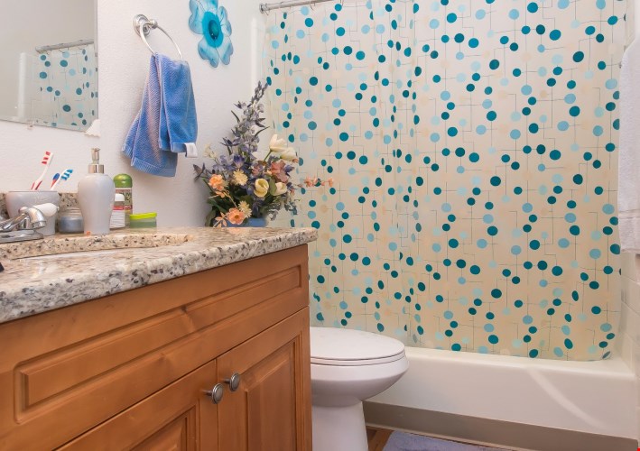 English Oaks Image 6