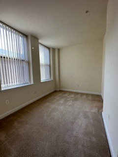 Standard Image 2