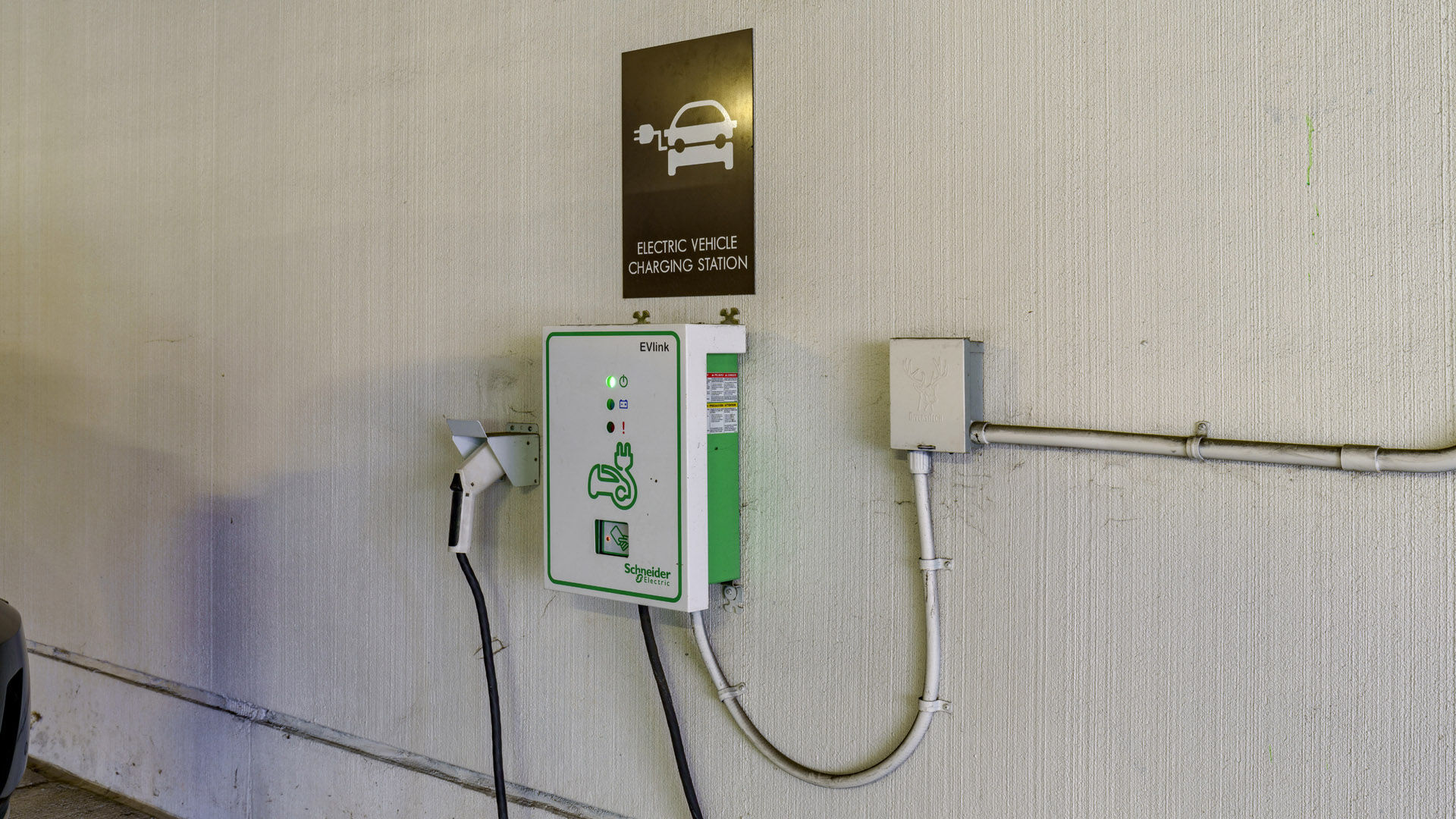 The Collection Image 51