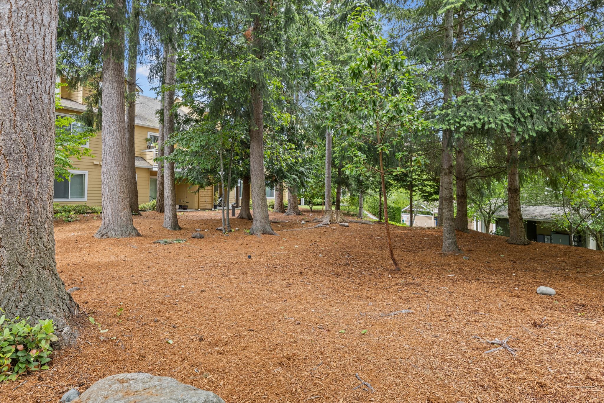 Evans Creek at Woodbridge Image 17