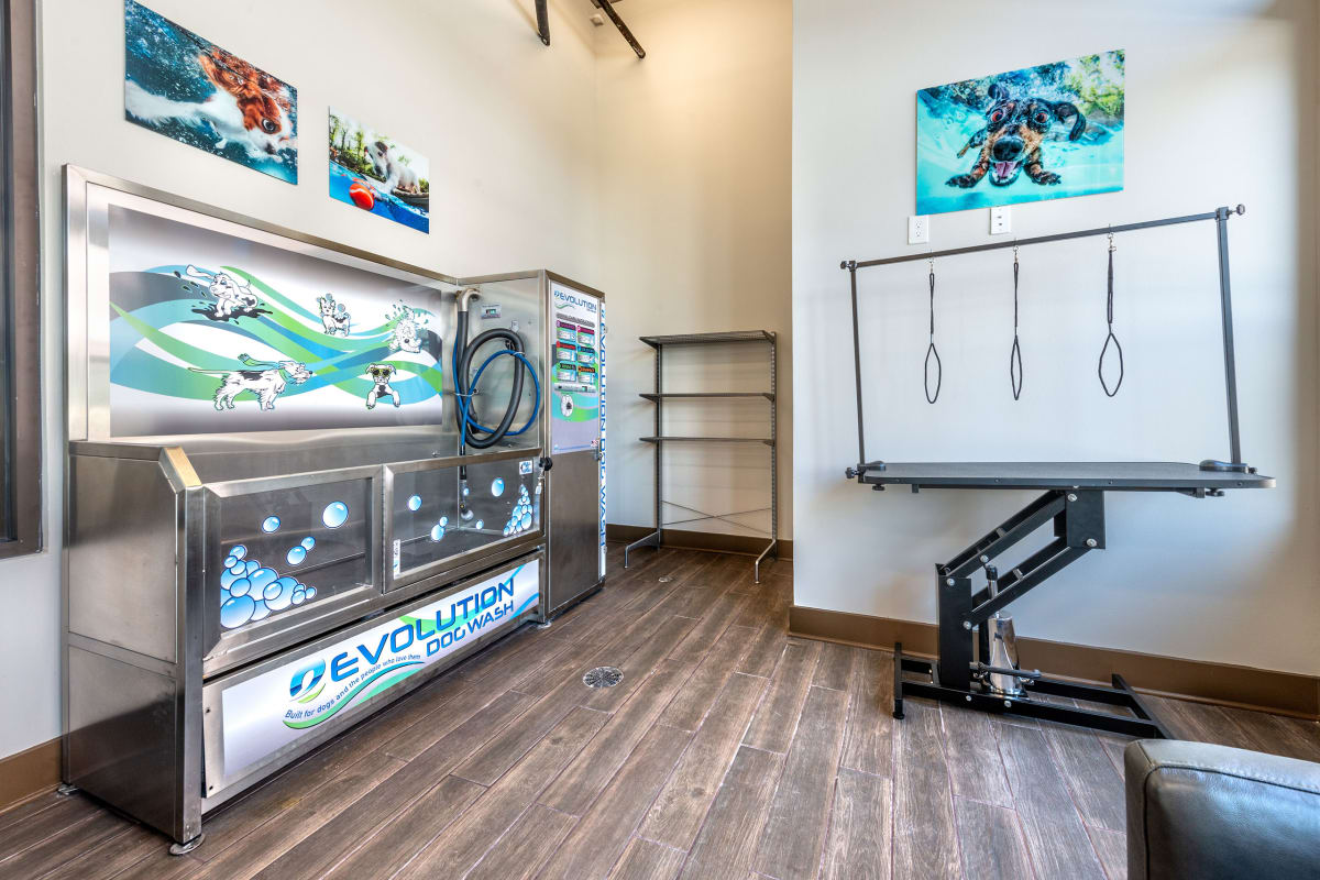 Waterford Market Image 5