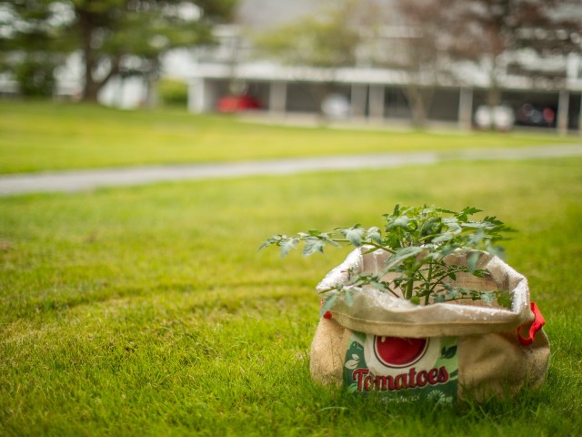 Foreside Estates Image 5