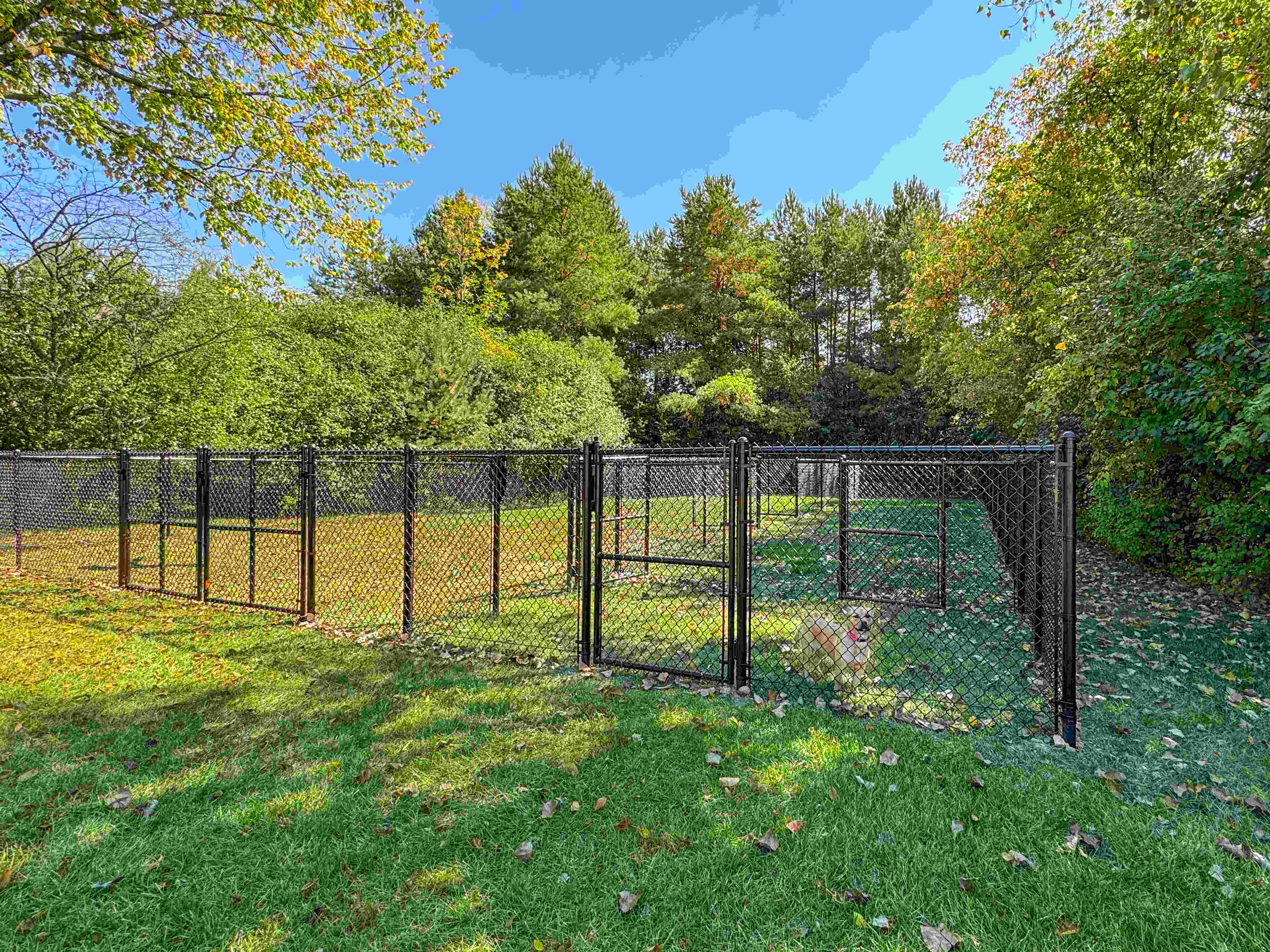Spacious fenced-in Dog Park at Three Oaks Apartments in Troy, MI