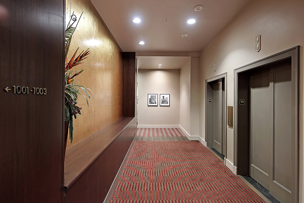 The Cobb Image 14