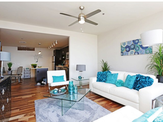 Living Room and Kitchen