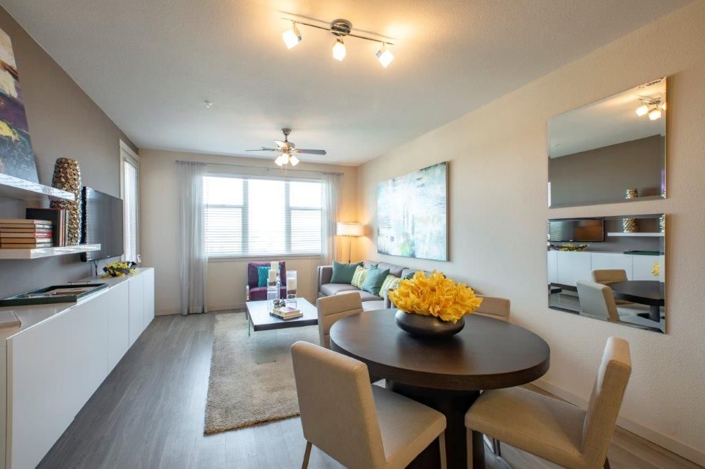 Elevation At County Line Image 6