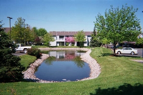 Sparrow Wood Image 2