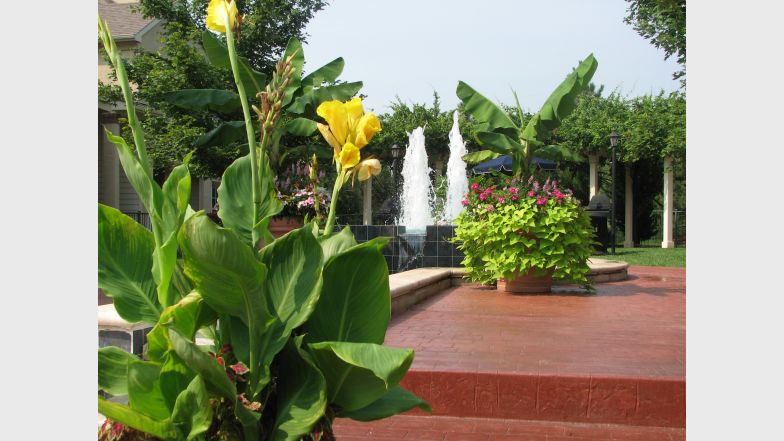 Enclave at Town Center Image 6