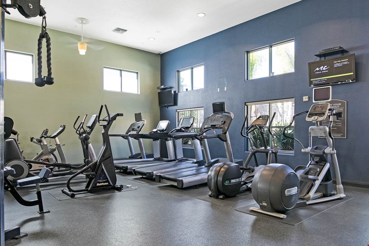 Barrington on Santa Monica Image 6