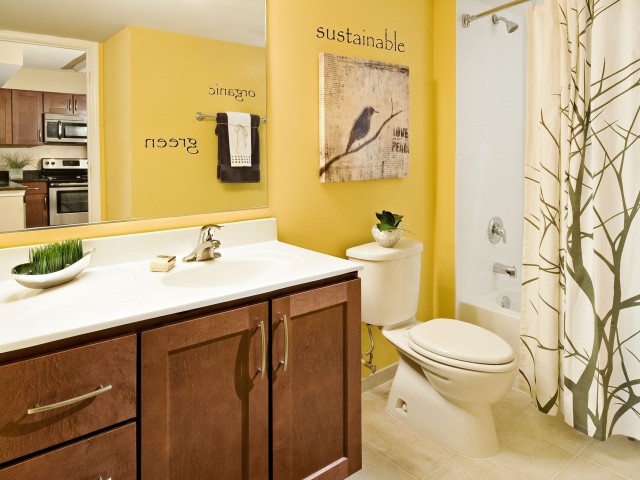 vPoint Apartments Image 6