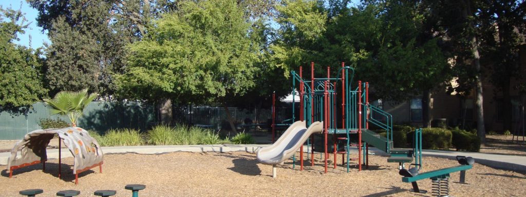 Autumn Woods Image 5