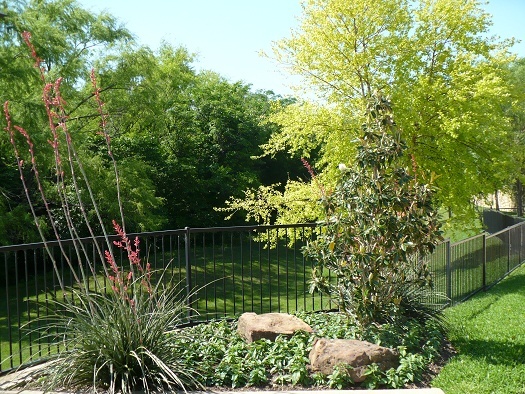 Spicewood Crossing Image 4