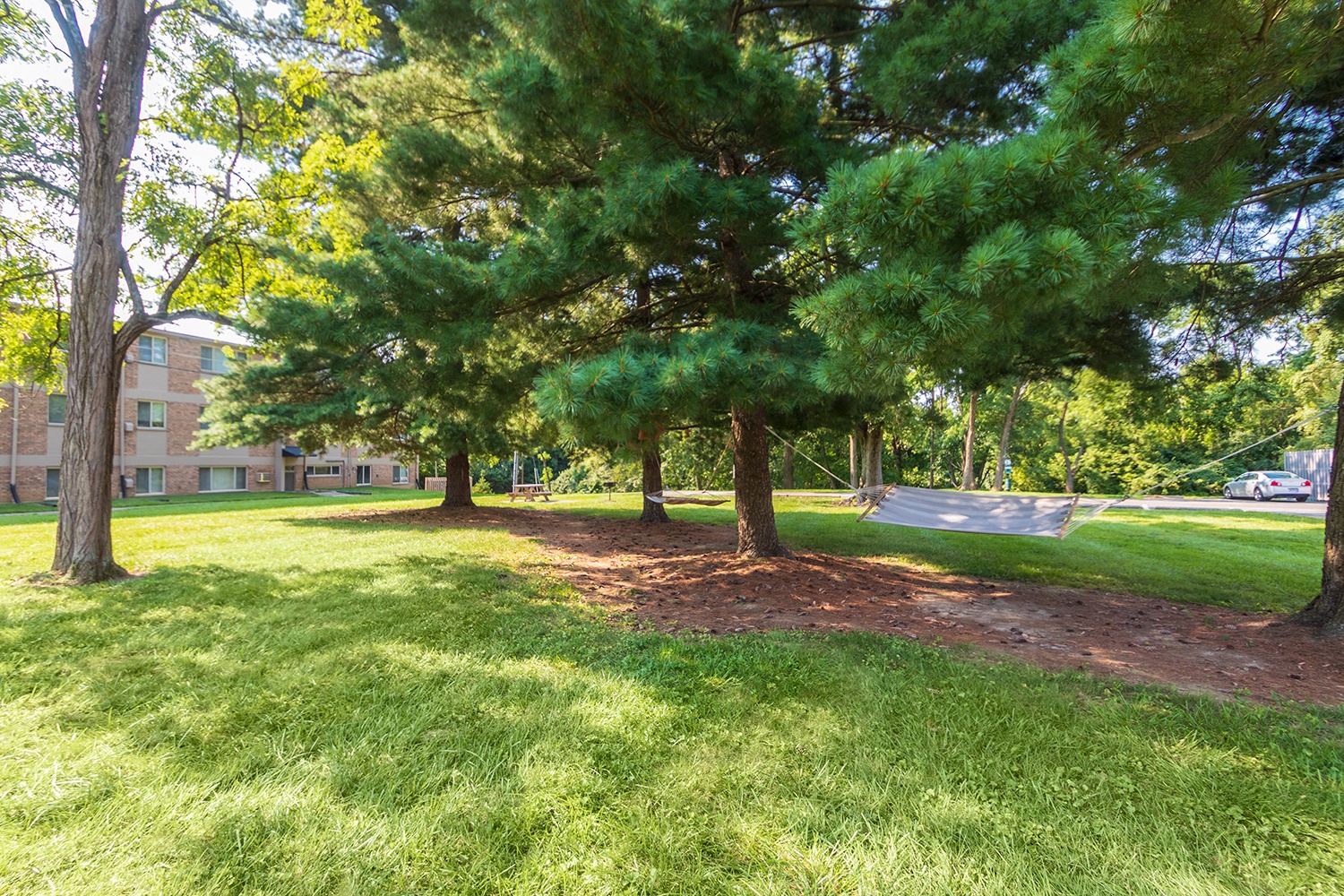 Red Bank Reserve Image 24