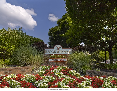 Eagle Stream Image 6