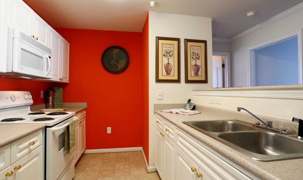 The Reflections of West Creek Image 5