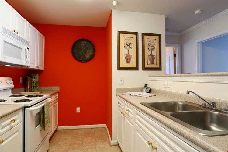 The Reflections of West Creek Image 5