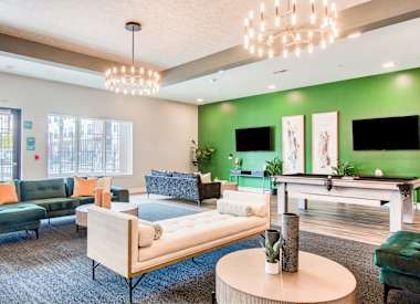 Bold on Boulevard Image 4