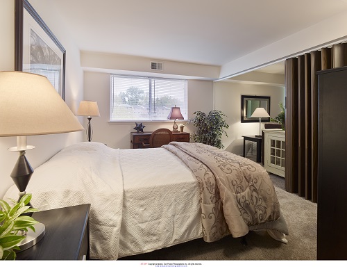 Eagle Stream Image 13