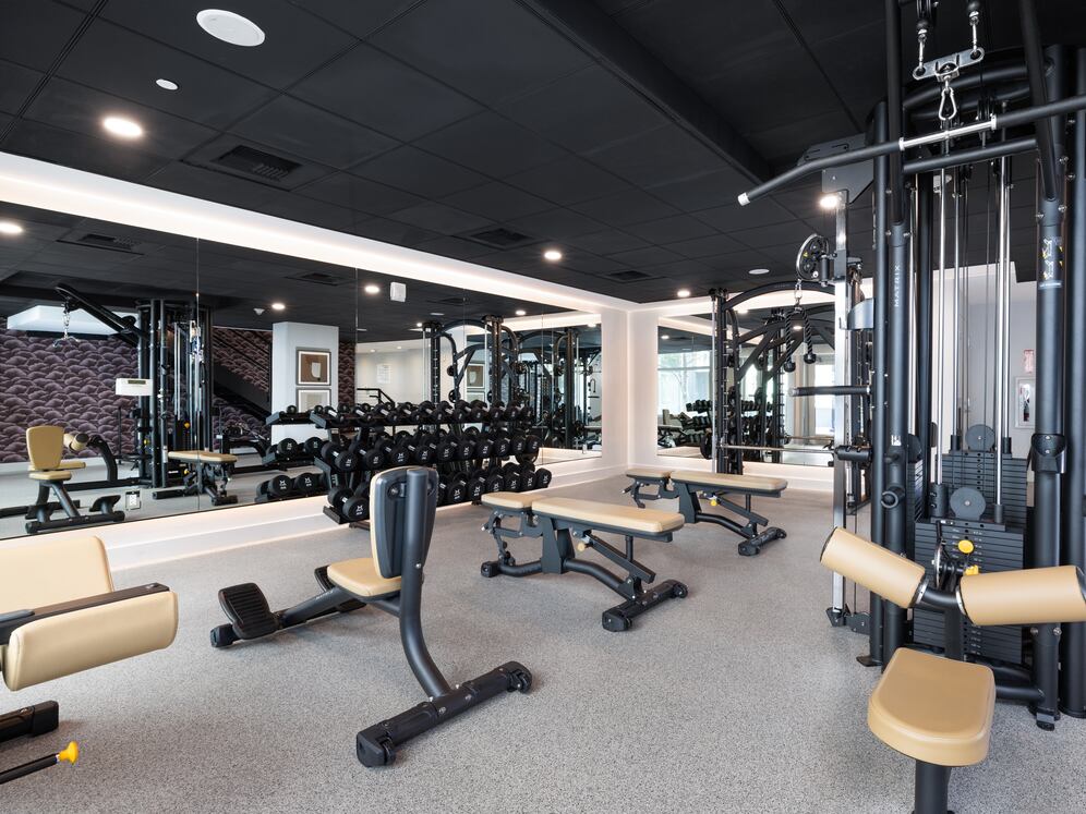 State-of-the-art fitness center with strength equipment (Phase III)