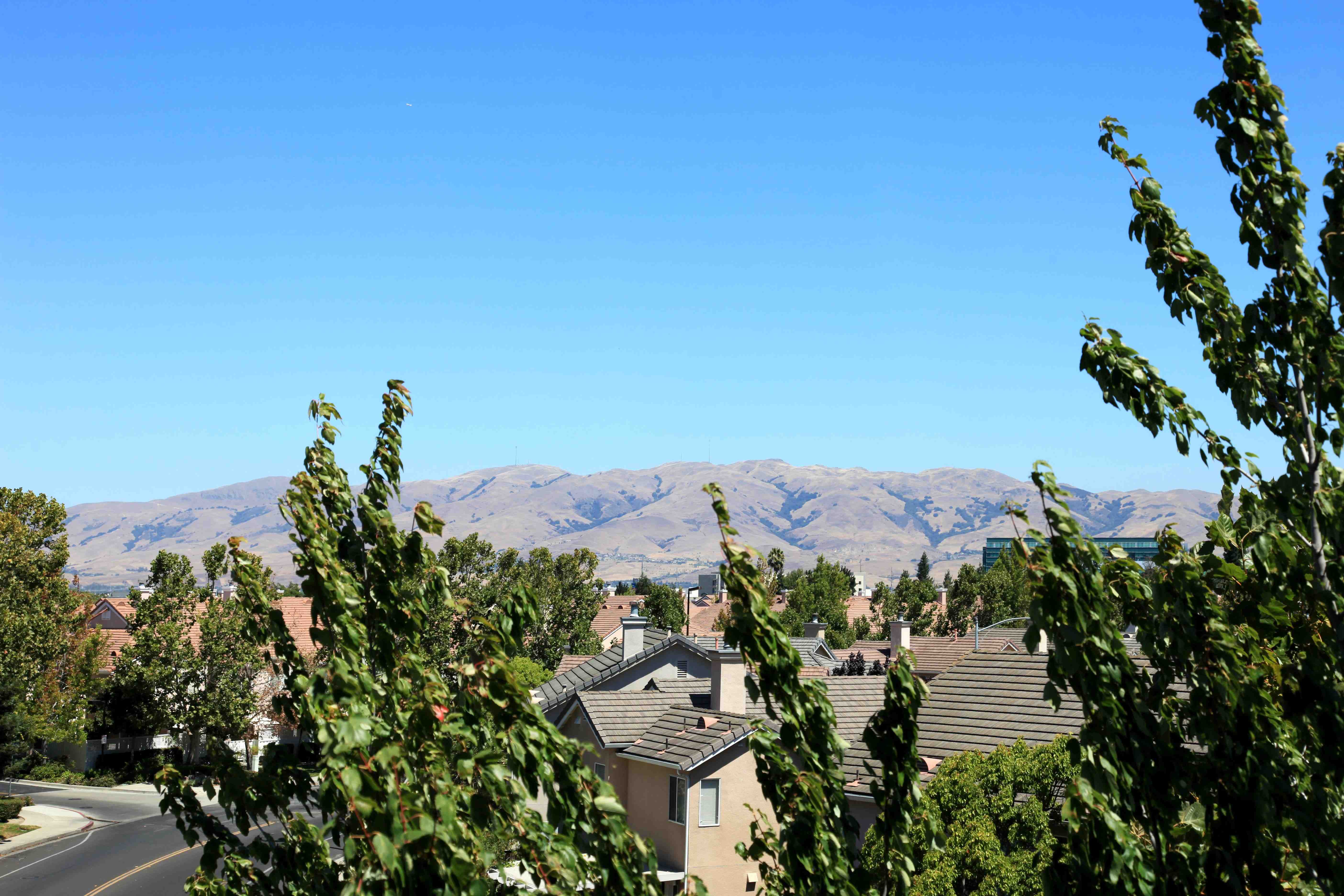 Enclave Image 25