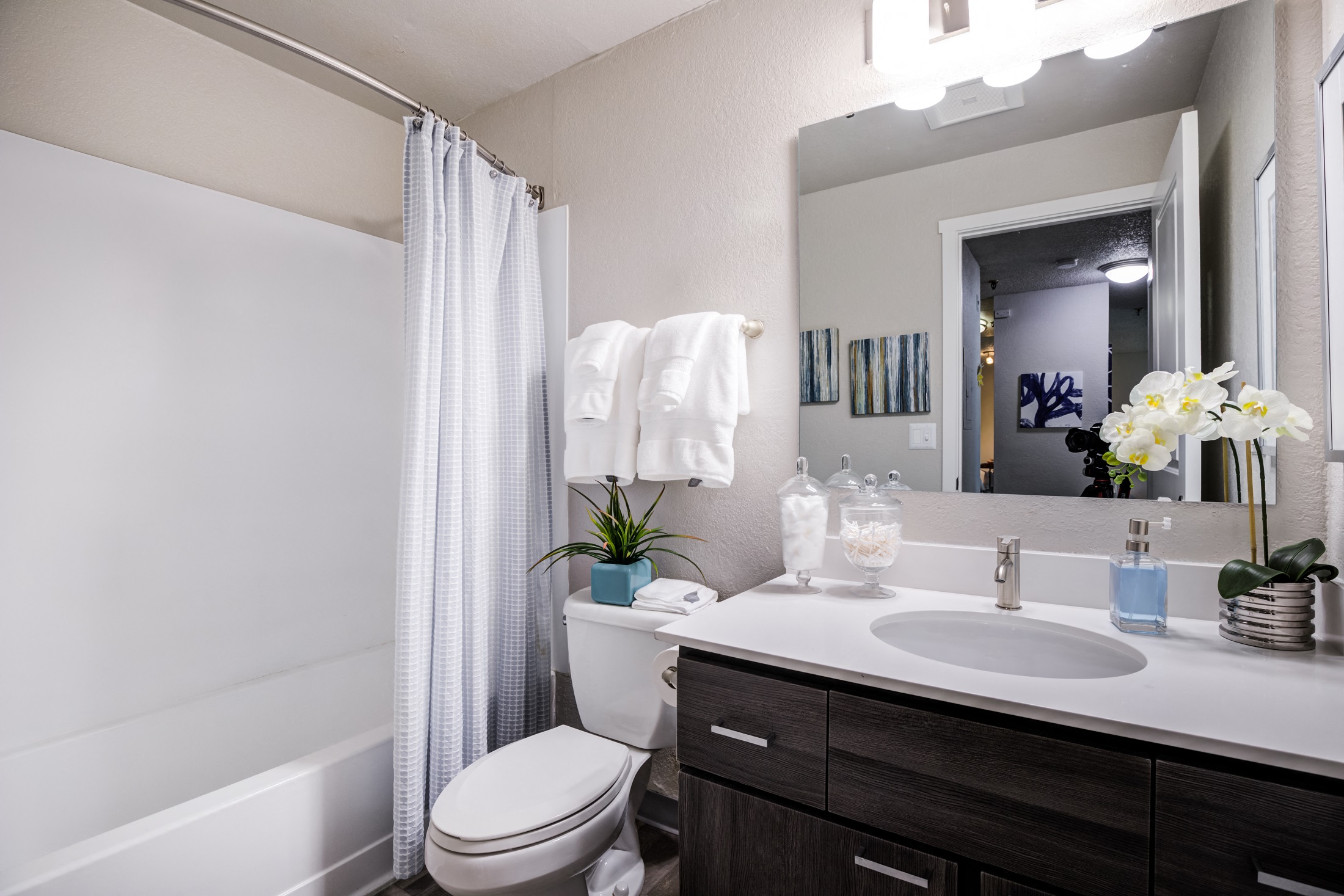 Knol Apartments Image 5