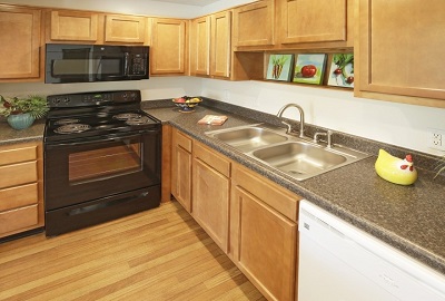 Contemporary Interiors 