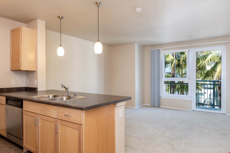 Market Street Village Image 12