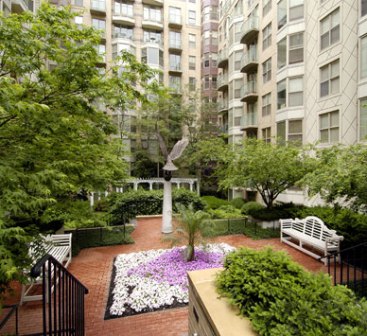 The Lansburgh Image 4