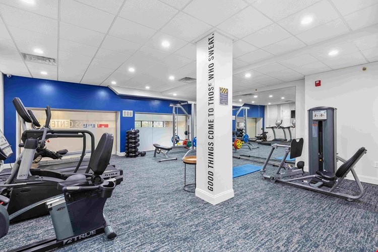 The Delmonte Image 17