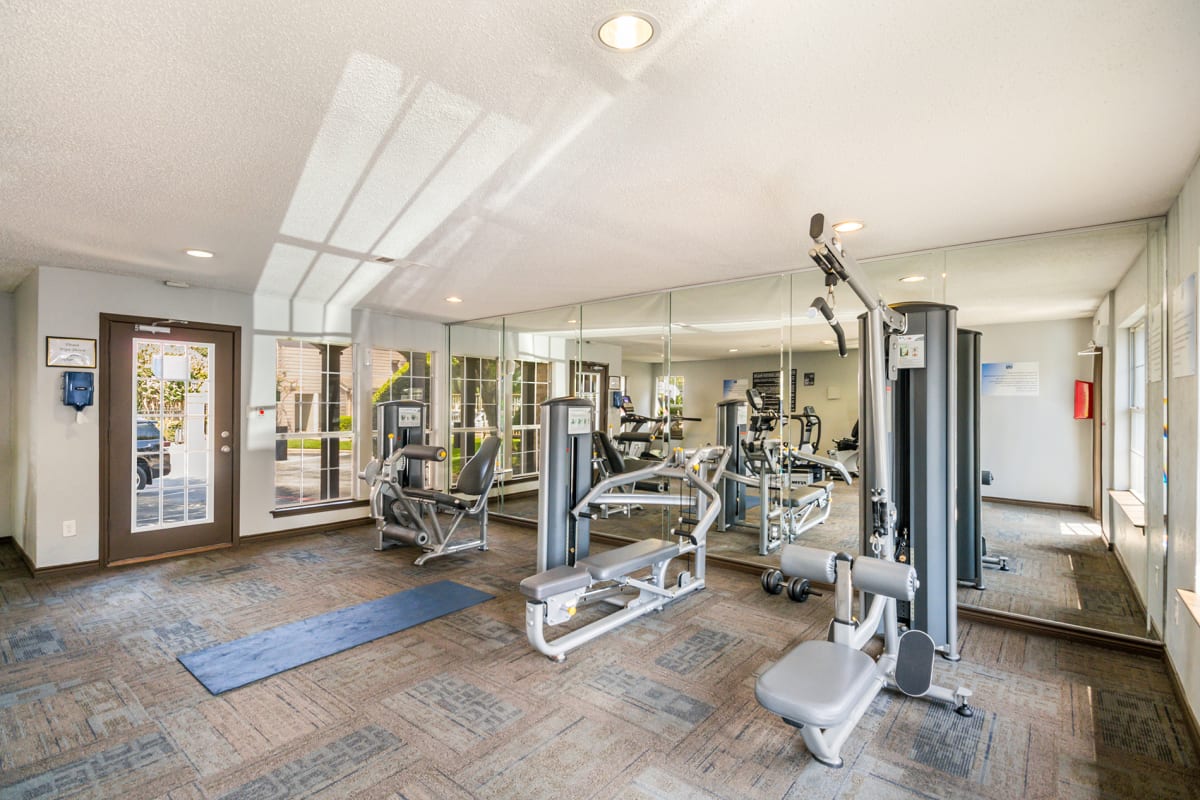 Noel on the Parkway Image 5