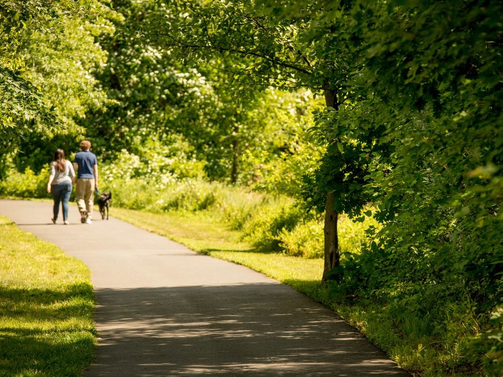 Nearby peaceful jogging paths