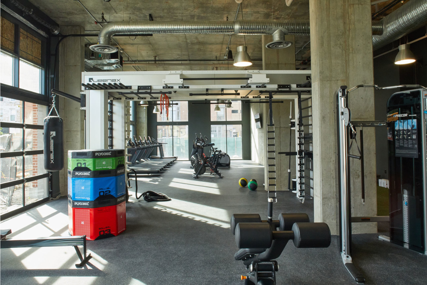 The Audubon Image 11