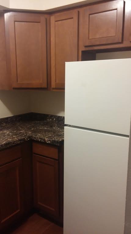 Upgraded Kitchen in 1 Bedroom