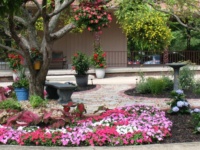 The Paddock Apartments Image 3