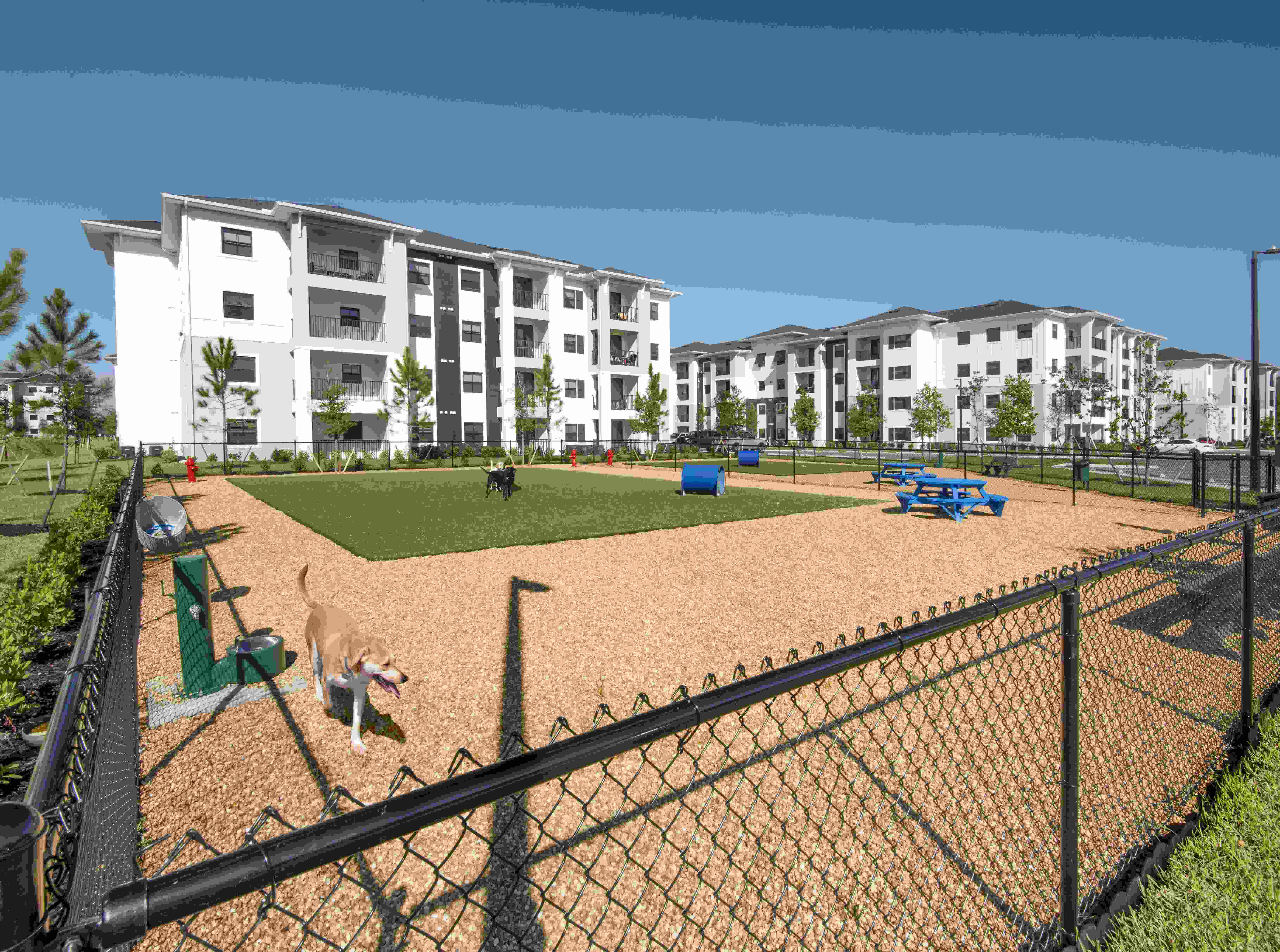 Uptown At Liberty Park Image 8