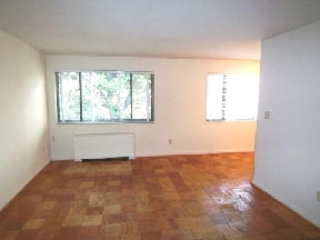 Scott Street Apartments Image 5