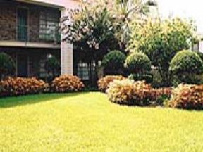 Lantern Village Image 4