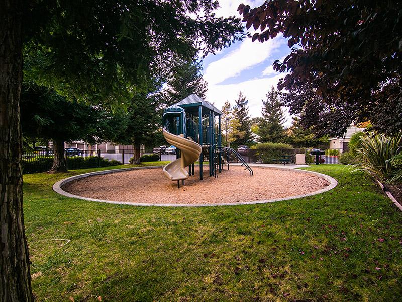 Hawthorn Village Image 3