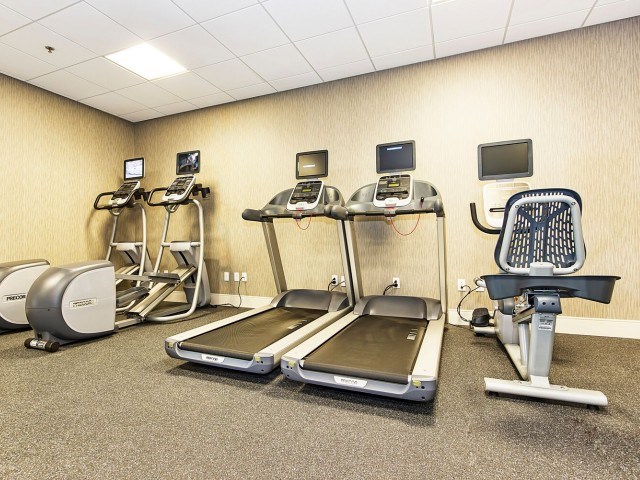 Top-of-the-line Fitness Room