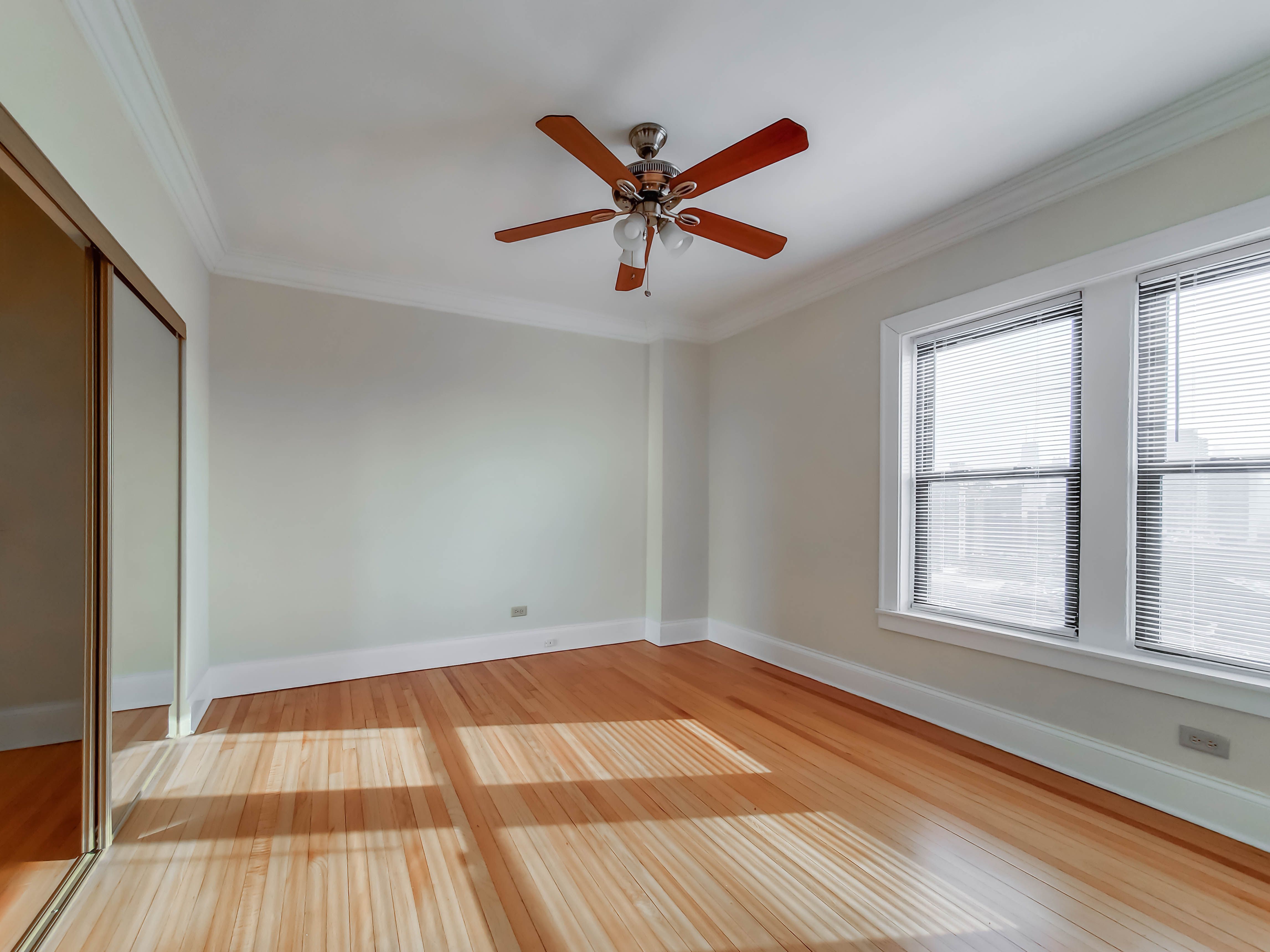 The Patricians Image 32