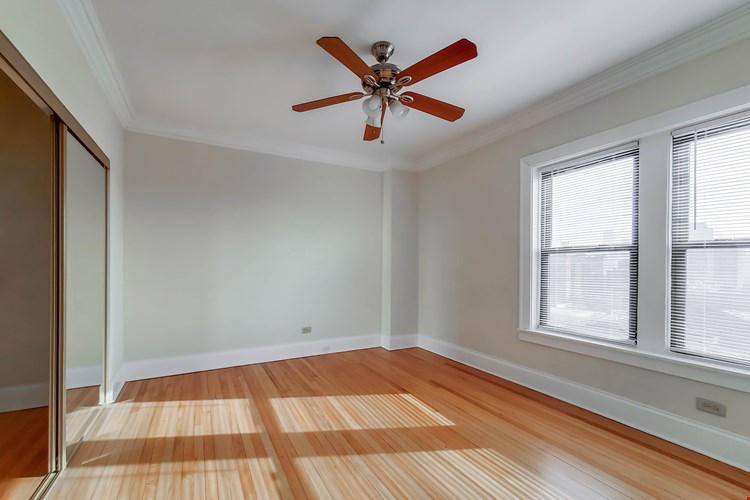 The Patricians Image 32