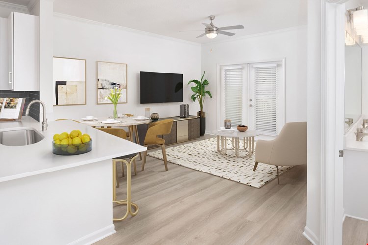 Camden Montague Image 12